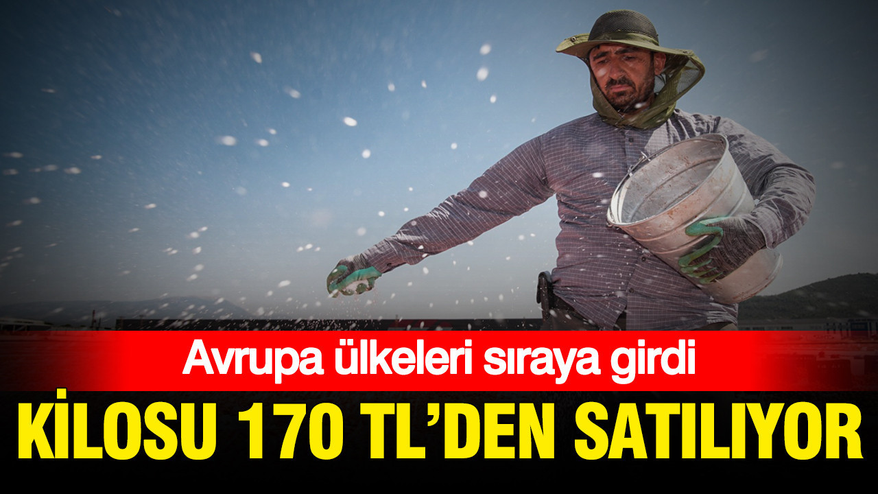 Haber gorseli